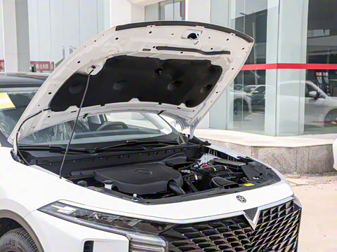 2026�� 260T ������ Pro