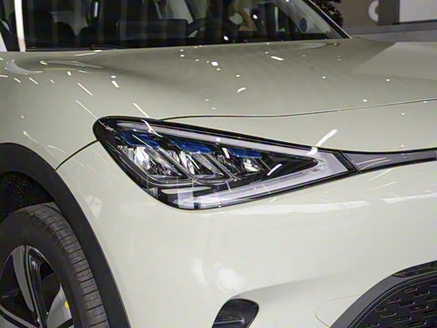 2026�� �鶯������