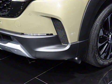 2023�� 2.5L ���а�