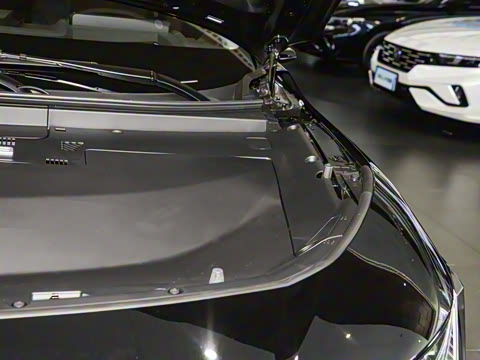 2025�� ����������Plus