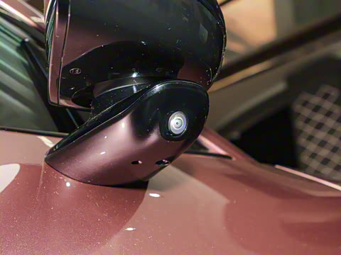 2025�� ��������������