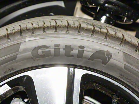 2026�� �鶯��������