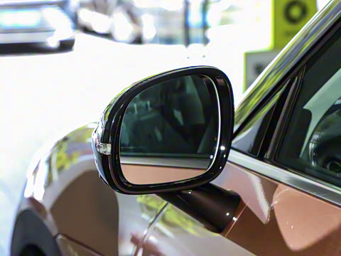 2026�� �鶯��������