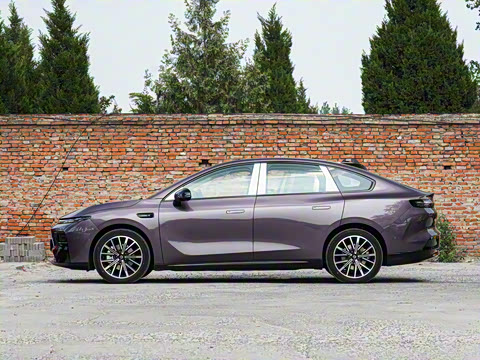 2025�� 650������