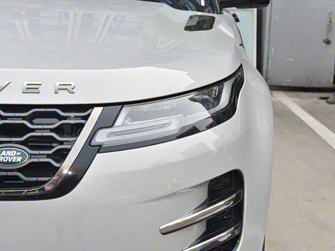 2021�� ����L P300e ������