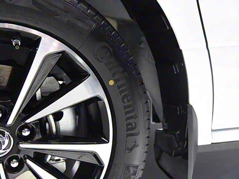 2019�� 2.0T �Զ��콢��