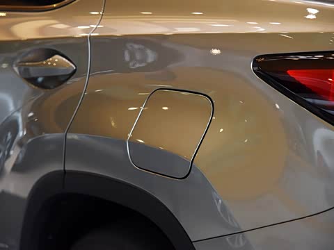 2020�� 300 �������Ű� ��VI