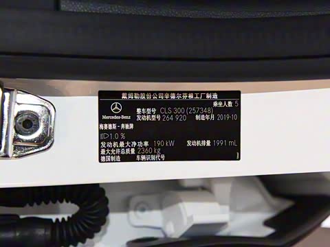 2020�� CLS 300 ������