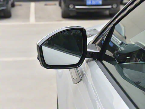 2021�� ����L P300e ������