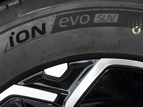 2025�� ��������������