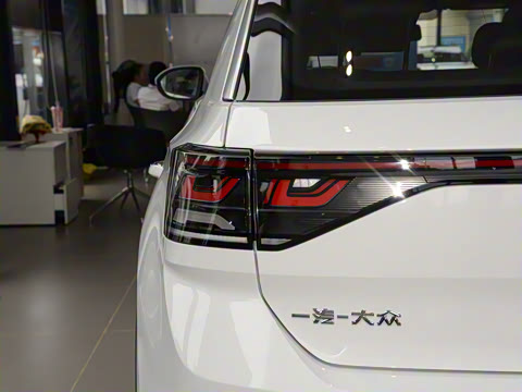 2025�� �Ŀ�� 300TSI DSG���������