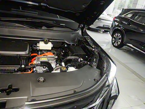 2026�� 165km ������������ 7��