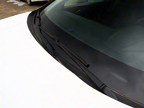 2022�� ������