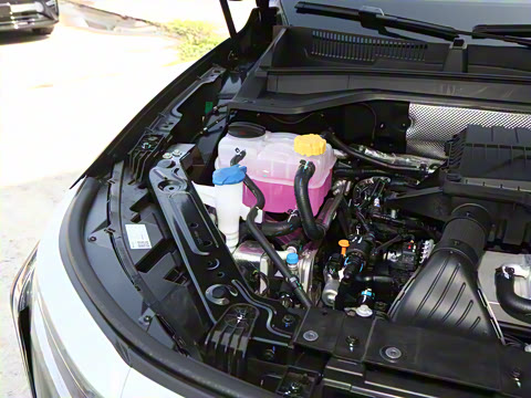 2025�� ̽����