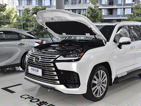 2025�� 700h VIP������