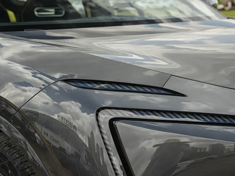 2025�� Max �����