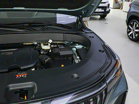 2025�� ���Ĵ� 1.5TD DCT �﷫