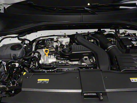 2025�� �Ŀ�� 300TSI DSG���������