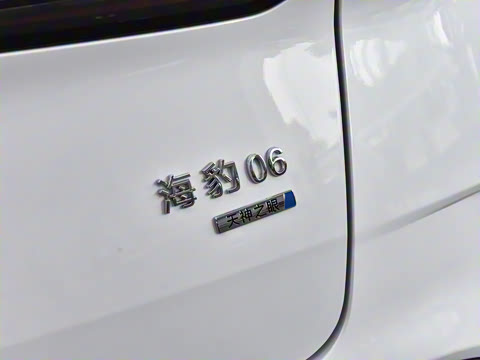 2025�� DM-i 80KM�����