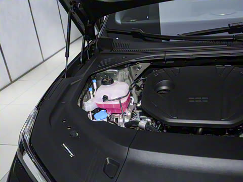 2025�� 60km EM-i ������