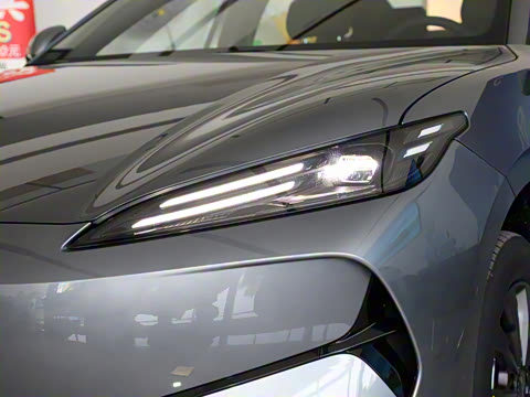 2025�� 520�ǻݰ�