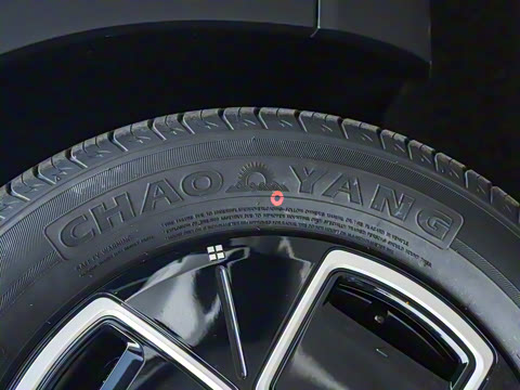 2025�� 330��ҫ��