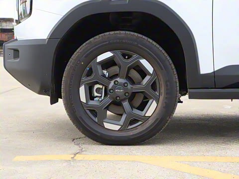 2025�� 2.0TD XWD��Խ