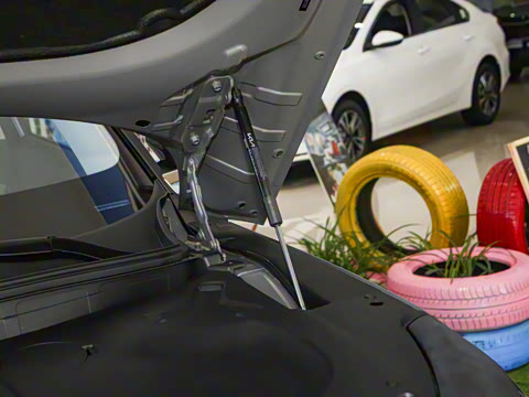 2025�� 530 Light