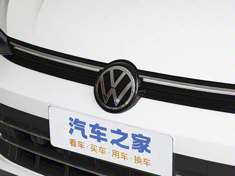 2025�� �Ŀ� 300TSI Pro