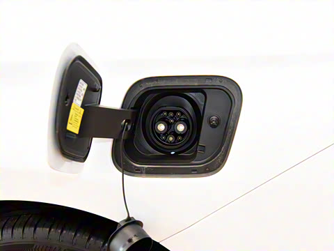 2022�� ���������