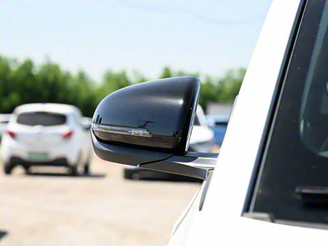 2022�� ���ʰ�