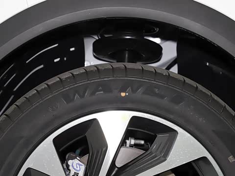 2020�� 230T �Զ�ԽĿ��