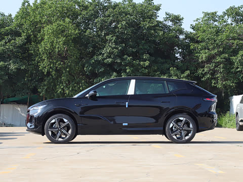 2024�� ������������