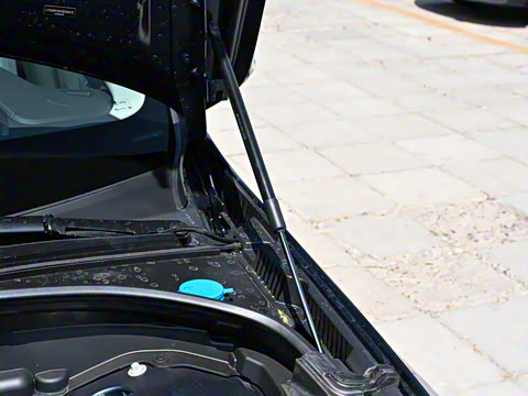 2026�� B5 �������ź�����