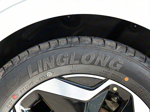 2022�� ���ʰ�