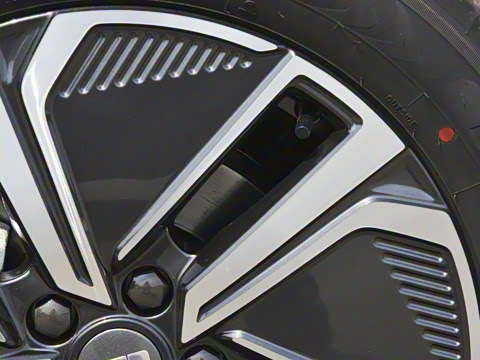 2025�� 55km ������