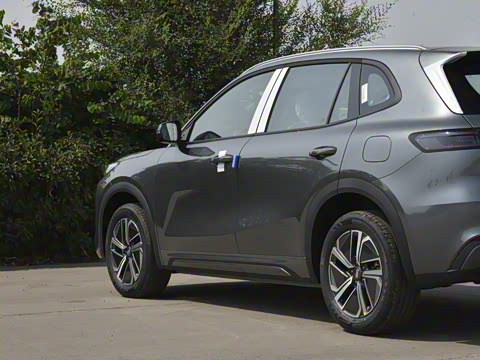 2025�� 55km ������