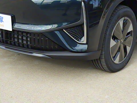 2025�� 205��������������