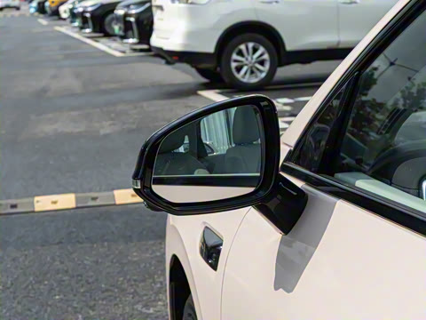 2025�� 650�����״��