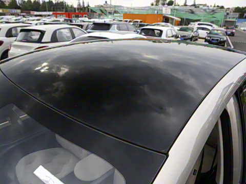 2023�� 460 Max ��Ϭ��