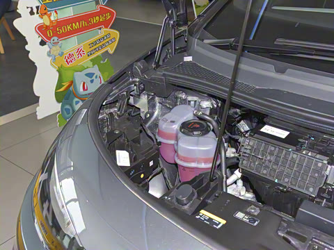 2022�� Pure ������