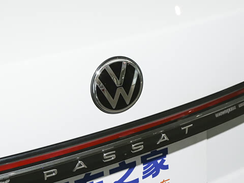 2025�� Pro 300TSI ��ҫ��