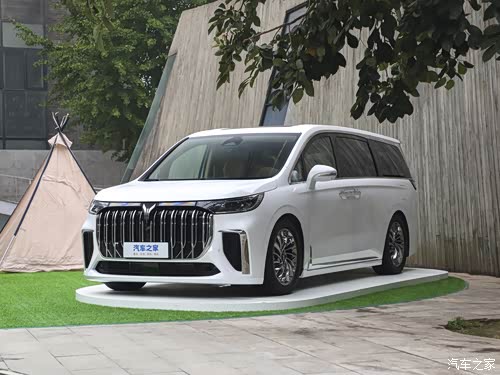 新能源mpv未来已来