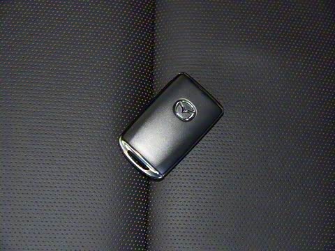 2020�� 2.0L �Զ��ʺ���