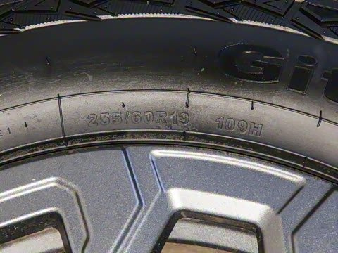 2024�� C-DM 206KM ����ɽҰ��