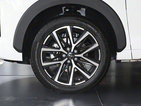 2024�� 1.5TGDI DCT������ 7��