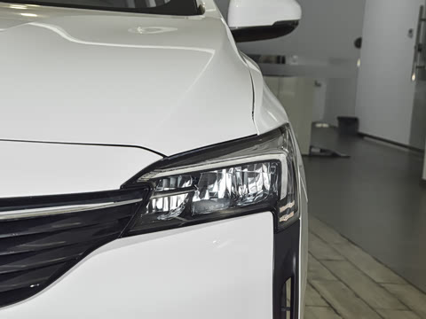 2022�� ���춯 �����ǻ���