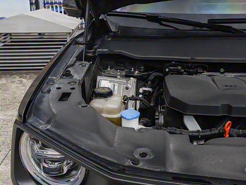 2023�� 2.0T ������ҰPlus