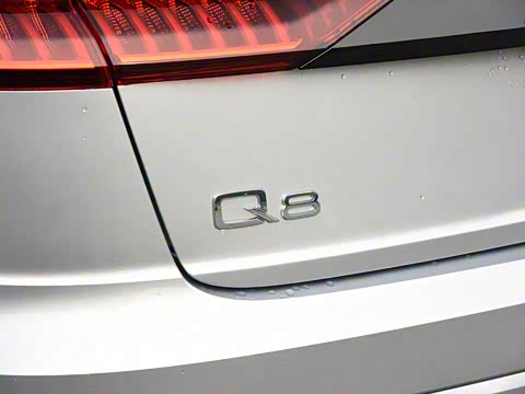 2019�� 55 TFSI ����������