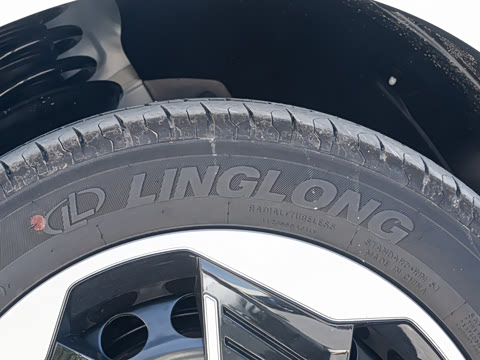 2026�� Mate 305km ����̤�˰�